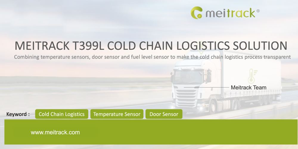 cold chain logistics solutions